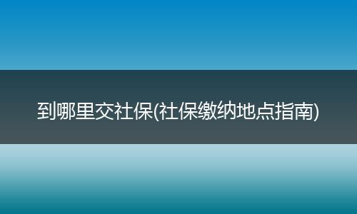 到哪里交社保(社保缴纳地点指南)