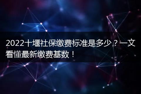 2022十堰社保缴费标准是多少？一文看懂最新缴费基数！