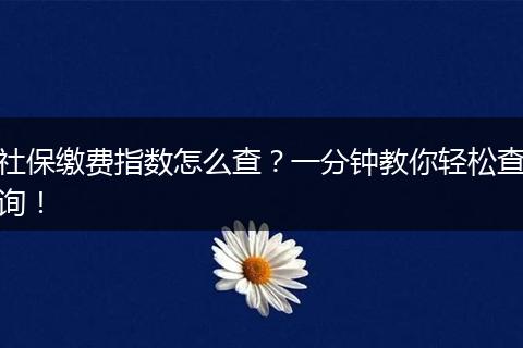 社保缴费指数怎么查？一分钟教你轻松查询！