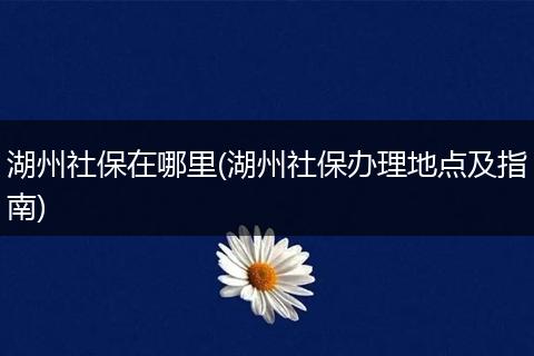 湖州社保在哪里(湖州社保办理地点及指南)