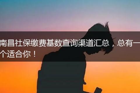 南昌社保缴费基数查询渠道汇总，总有一个适合你！