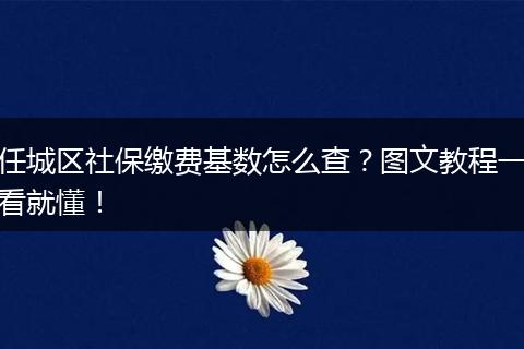 任城区社保缴费基数怎么查？图文教程一看就懂！