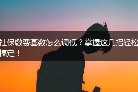 社保缴费基数怎么调低？掌握这几招轻松搞定！