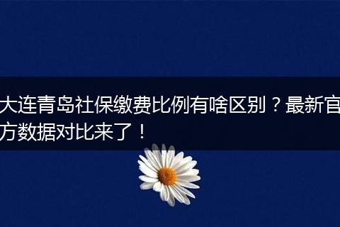 大连青岛社保缴费比例有啥区别？最新官方数据对比来了！