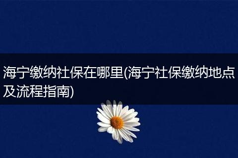 海宁缴纳社保在哪里(海宁社保缴纳地点及流程指南)