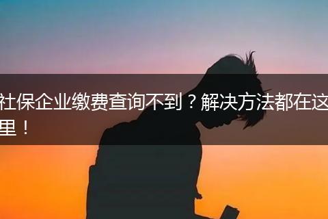 社保企业缴费查询不到？解决方法都在这里！