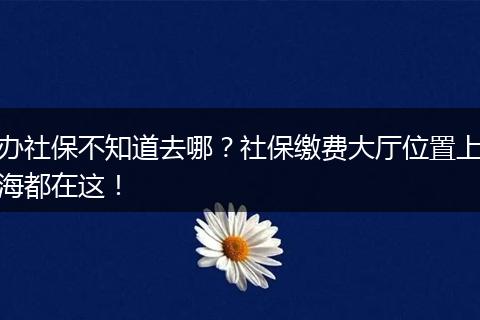 办社保不知道去哪？社保缴费大厅位置上海都在这！