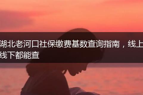湖北老河口社保缴费基数查询指南，线上线下都能查