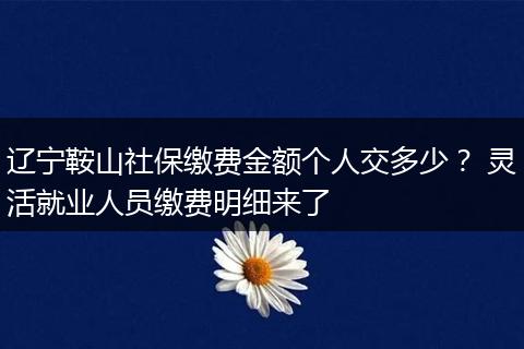 辽宁鞍山社保缴费金额个人交多少？ 灵活就业人员缴费明细来了