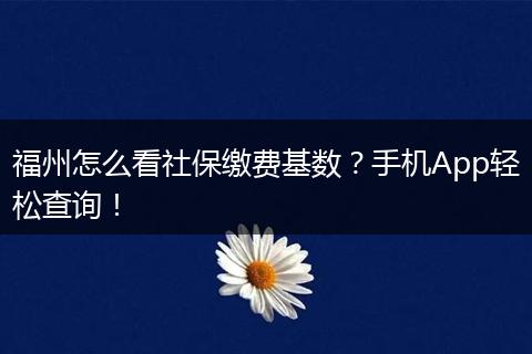 福州怎么看社保缴费基数？手机App轻松查询！