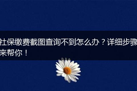 社保缴费截图查询不到怎么办？详细步骤来帮你！
