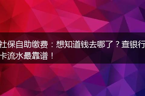 社保自助缴费：想知道钱去哪了？查银行卡流水最靠谱！