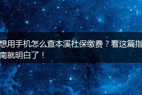 想用手机怎么查本溪社保缴费？看这篇指南就明白了！