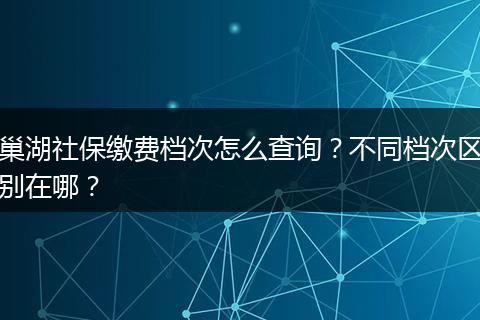 巢湖社保缴费档次怎么查询？不同档次区别在哪？