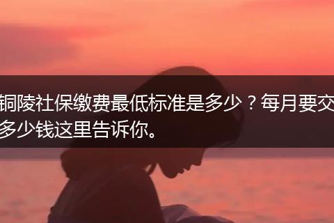 铜陵社保缴费最低标准是多少？每月要交多少钱这里告诉你。