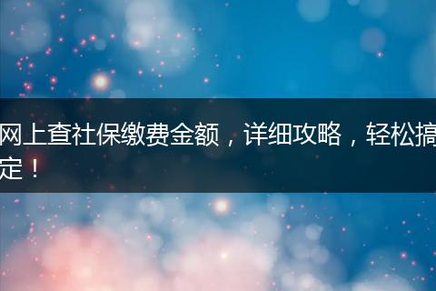 网上查社保缴费金额,详细攻略,轻松搞定!