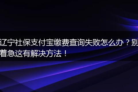 辽宁社保支付宝缴费查询失败怎么办？别着急这有解决方法！