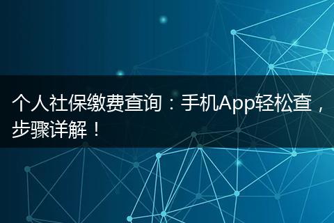 个人社保缴费查询:手机App轻松查,步骤详解!