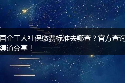 国企工人社保缴费标准去哪查？官方查询渠道分享！