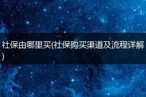 社保由哪里买(社保购买渠道及流程详解)