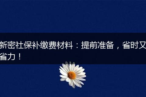 新密社保补缴费材料：提前准备，省时又省力！