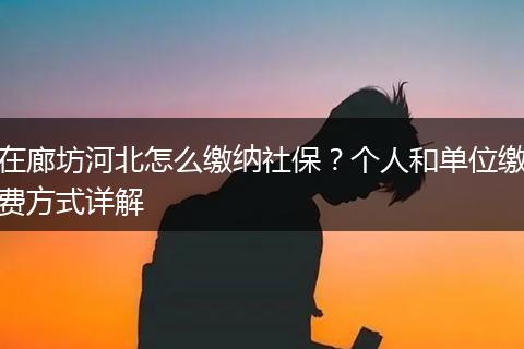 在廊坊河北怎么缴纳社保？个人和单位缴费方式详解