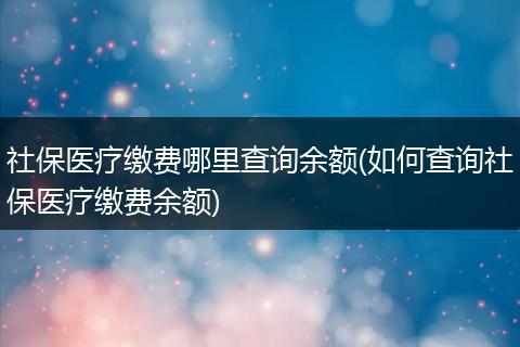 社保医疗缴费哪里查询余额(如何查询社保医疗缴费余额)