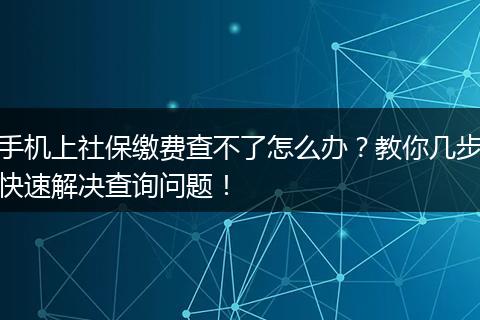 手机上社保缴费查不了怎么办？教你几步快速解决查询问题！