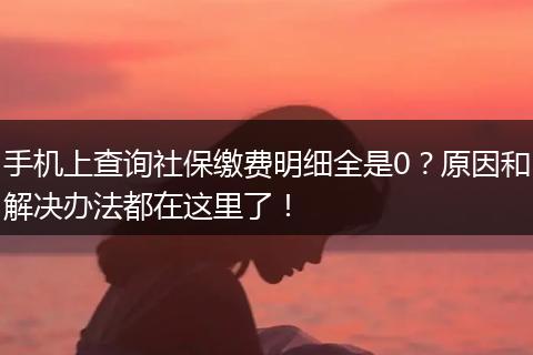 手机上查询社保缴费明细全是0？原因和解决办法都在这里了！