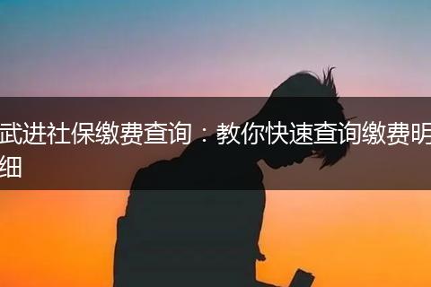武进社保缴费查询：教你快速查询缴费明细