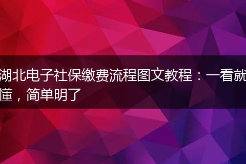 湖北电子社保缴费流程图文教程:一看就懂,简单明了