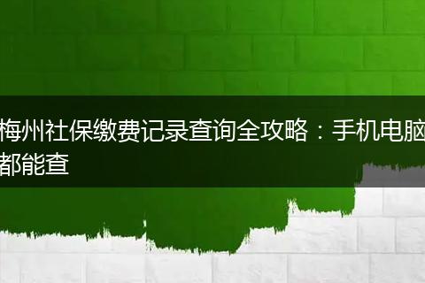 梅州社保缴费记录查询全攻略：手机电脑都能查