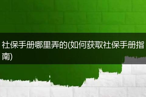 社保手册哪里弄的(如何获取社保手册指南)