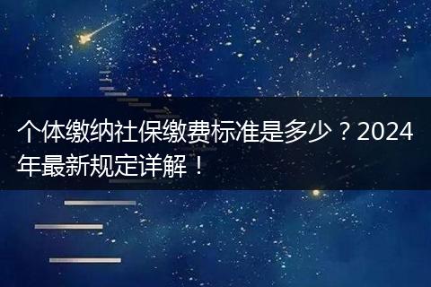 个体缴纳社保缴费标准是多少？2024年最新规定详解！