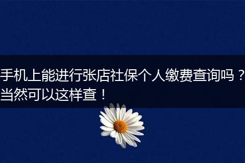 手机上能进行张店社保个人缴费查询吗？当然可以这样查！