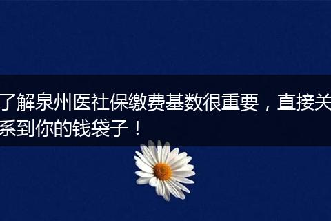 了解泉州医社保缴费基数很重要，直接关系到你的钱袋子！