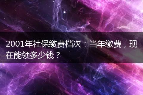 2001年社保缴费档次：当年缴费，现在能领多少钱？