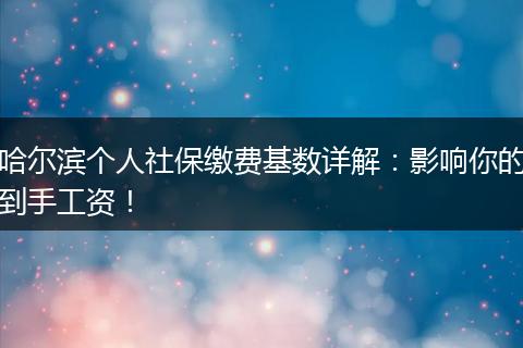 哈尔滨个人社保缴费基数详解：影响你的到手工资！