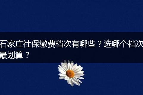 石家庄社保缴费档次有哪些？选哪个档次最划算？