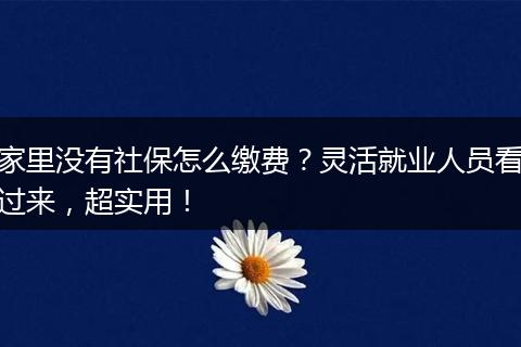 家里没有社保怎么缴费？灵活就业人员看过来，超实用！