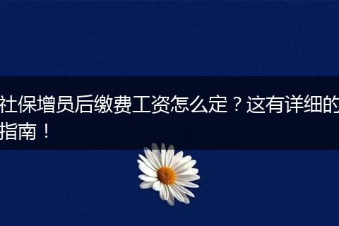 社保增员后缴费工资怎么定?这有详细的指南!