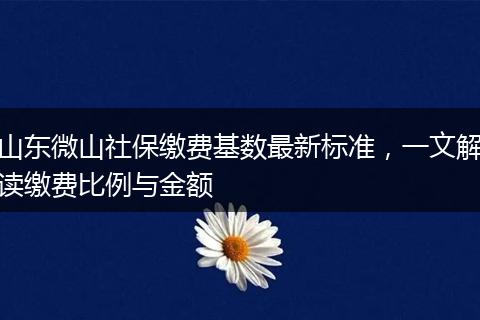 山东微山社保缴费基数最新标准,一文解读缴费比例与金额