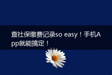 查社保缴费记录so easy！手机App就能搞定！