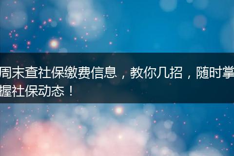 周末查社保缴费信息，教你几招，随时掌握社保动态！