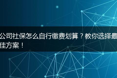 公司社保怎么自行缴费划算？教你选择最佳方案！