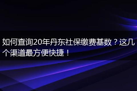如何查询20年丹东社保缴费基数？这几个渠道最方便快捷！
