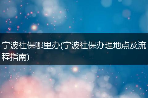宁波社保哪里办(宁波社保办理地点及流程指南)