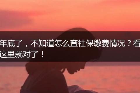 年底了,不知道怎么查社保缴费情况?看这里就对了!