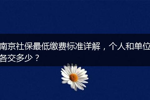 南京社保最低缴费标准详解，个人和单位各交多少？