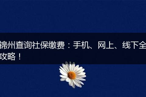 锦州查询社保缴费：手机、网上、线下全攻略！